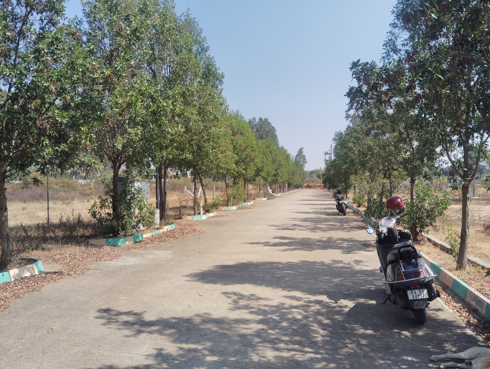 SiteVisit1